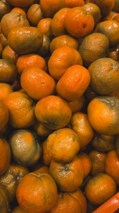 饱满橙黄柿子堆成小山
