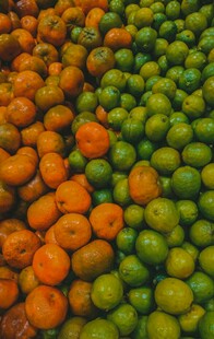 多彩柑橘与青柠整齐排列