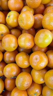 饱满金桔 