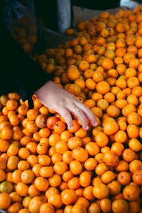 手触饱满橙子堆