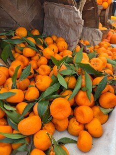 新鲜带叶橘子堆成小山
