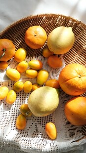 多彩鲜果置于篮中