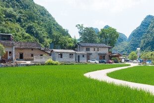 桂林乡村绿野村落