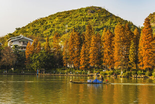 桂林秋日湖畔美景