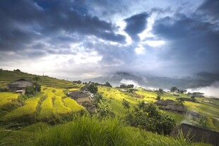 山间梯田美景