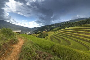 山间梯田美景