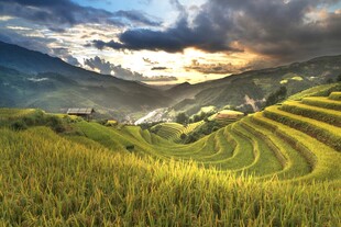 山间梯田美景