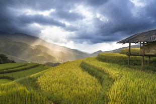 山间梯田美景
