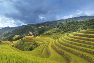 山间梯田美景