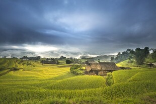 田园风光下的乡村景色