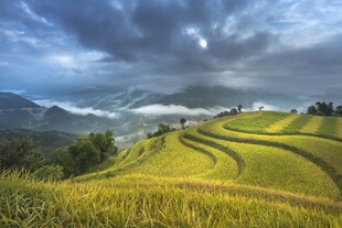 山间梯田美景
