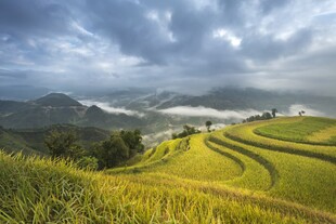 山间梯田美景