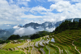 山间梯田美景
