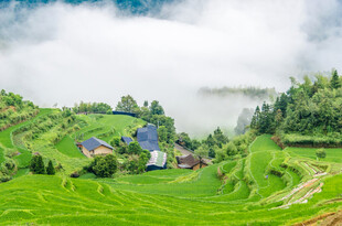 山间梯田村落美景