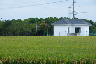 田野中的白色小屋