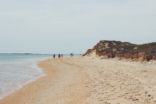 大海沙滩海岸