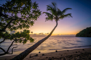 夕阳下的海滩与椰子树