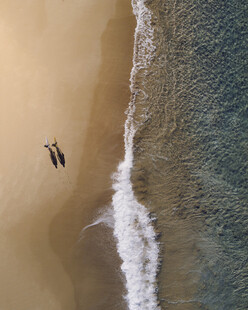 沙滩漫步的两人与海浪