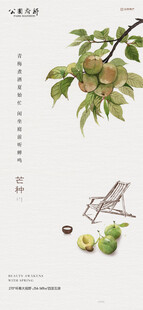 芒种海报