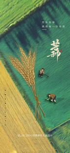 稻田劳作场景