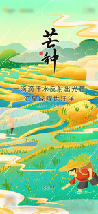 芒种秋日梯田美景