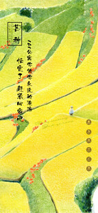 芒种山间梯田风光