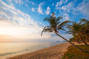 海边椰树与绚丽天空美景