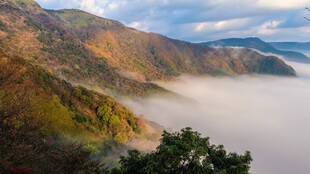 山间云海秋景图