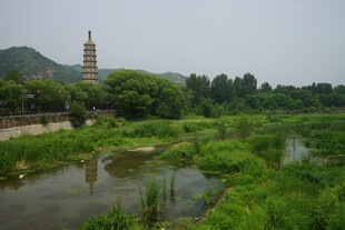 河畔古塔与葱郁自然景观