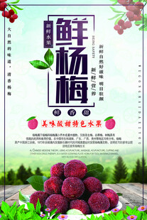 新鲜杨梅 果香四溢诱人