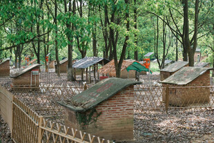 林间小屋