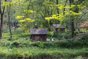 林间小屋