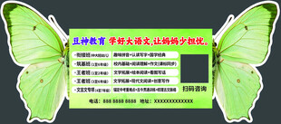 绿色蝴蝶 课程展示