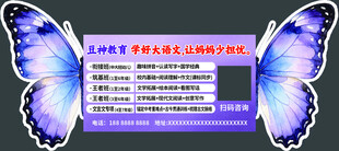 蝴蝶翅膀形状课程时间表