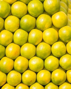 饱满黄柠檬整齐排列