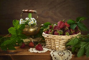 田园风水果与绿植静物组合