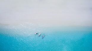 碧海蓝天中的飞翔身影