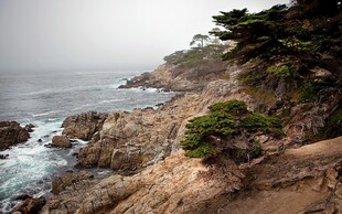 海岸边嶙峋岩石与葱郁树木