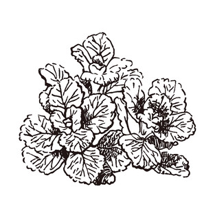 手绘花卉图案