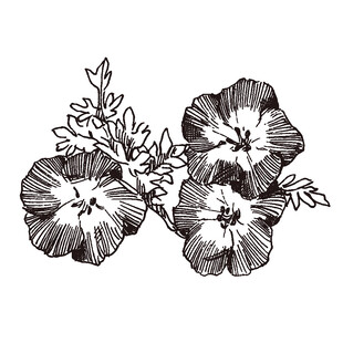 手绘黑白花卉图案