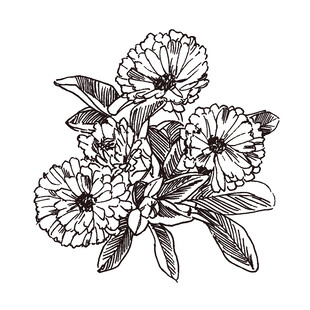 手绘花卉图案