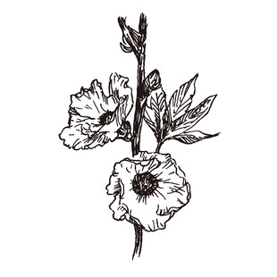 手绘花卉图案