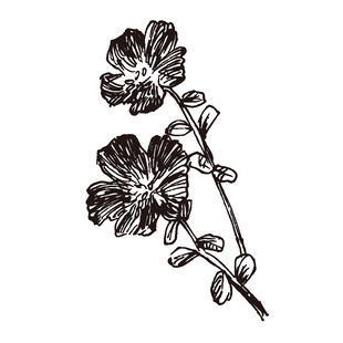 手绘花卉图案