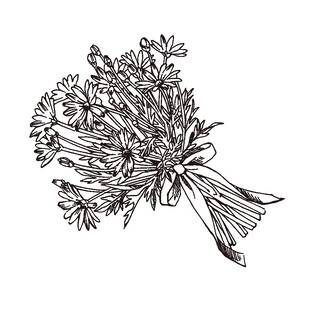 手绘简约花束插画