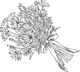 手绘花束插画