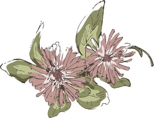 手绘粉色花卉与绿叶