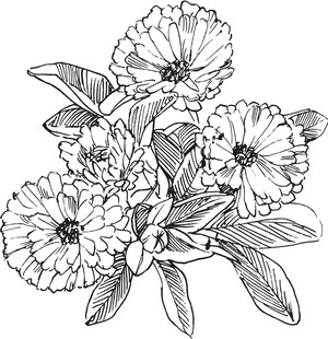 手绘花卉图案