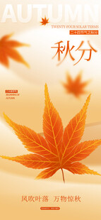 秋分时节枫叶美