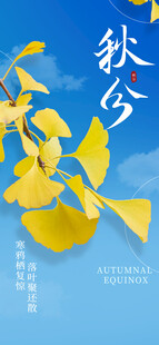 秋分时节银杏叶飘落