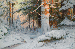 冬日雪覆森林静谧美景